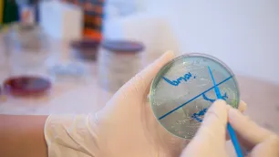 Minimising Campylobacter Contamination