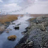 Environmental Toxins