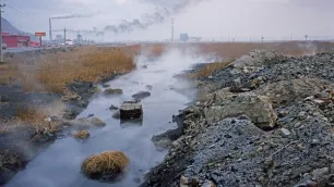 Environmental Toxins