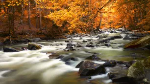 Photographing the Autumn Season