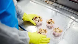 The Importance of Allergen Management and Control in Food Processing and Manufacturing