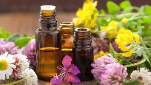 What do you learn on an online aromatherapy course?