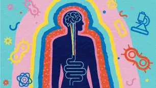 The Microbiota-Gut-Brain Axis and Mood