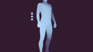 Body Equilibrium – A Physical-Clinical Interpretation of Human Upright Stability