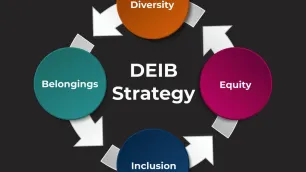 Deconstructing the DEIB framework, past, present and future