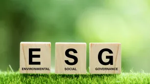 ESG: Fad or Solid Business Sense?