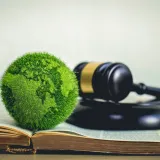 Environmental Information Regulations Requests ' the basics