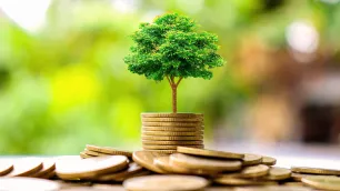 Demystifying the EU Taxonomy: A Simplified Guide to Green Investments