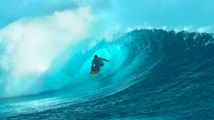 Embracing Sustainability: The Imperative of Riding the Wave, Not Fighting It