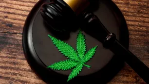 Legislative Changes to Allow the Prescribing of Cannabinoids