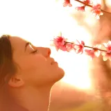 The Re-emergence of Timeless Scents in Natural Perfumery