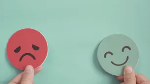 The Pain-Pleasure Concept