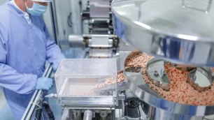 Cleanroom Controls in Oral Solid Dose (OSD) Manufacturing 