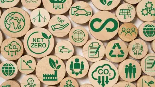 Navigating the Distinction Between Environmental Education (EE) and Education for Sustainable Development (ESD)