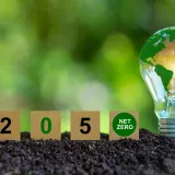 Five steps for turning net zero ambitions into deliverable projects