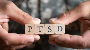 Harnessing the Power of Peer Support for PTSD Recovery