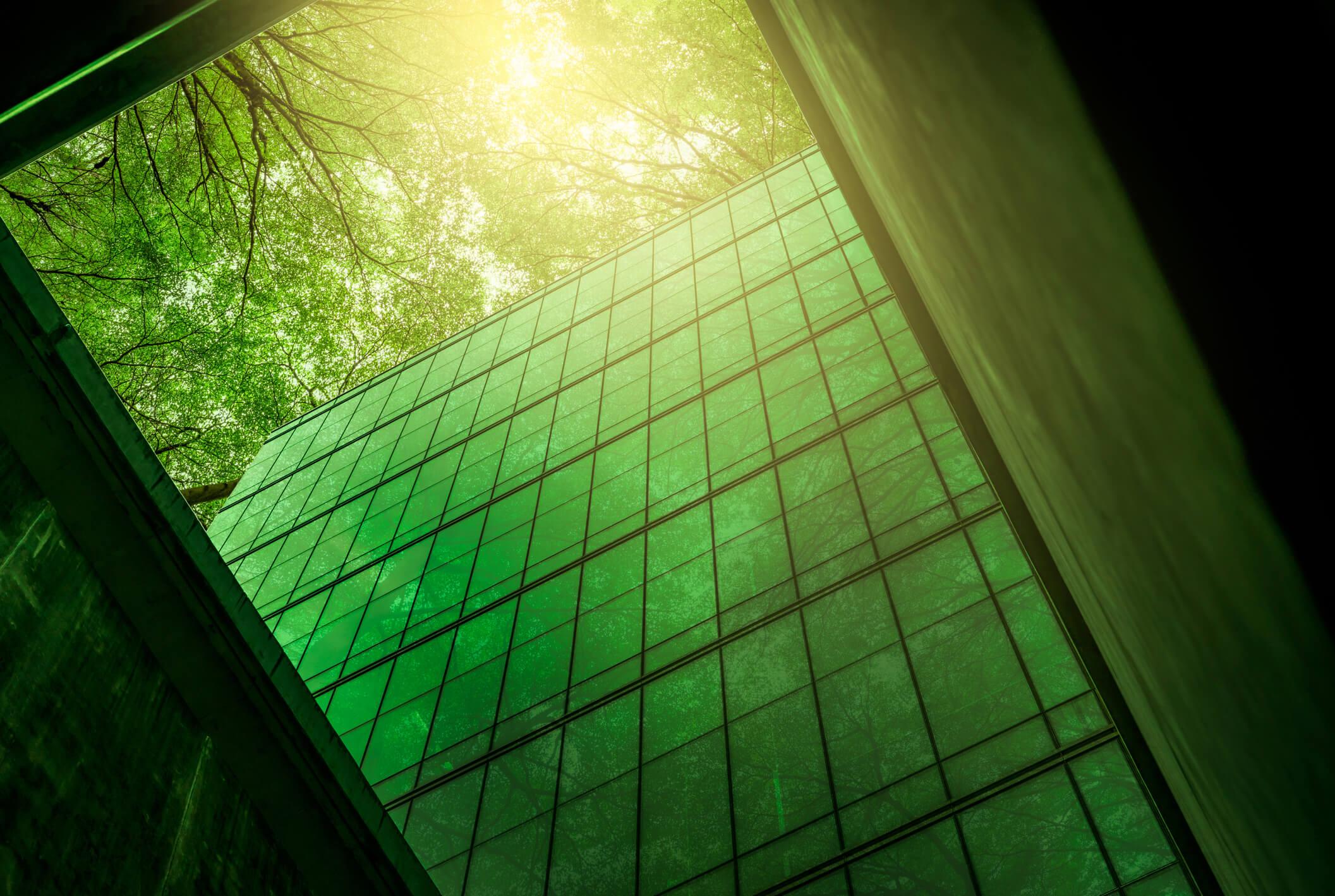Energy-efficient buildings maximize natural light