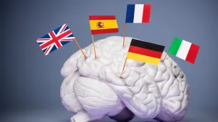 The Neuroscience of Multilingual Learning: How Adult Brains Adapt to New Languages