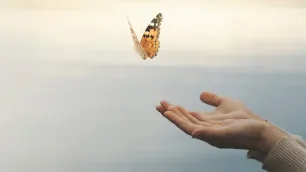 Dealing with death each and every day