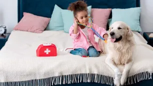 What do you learn on dog first aid training courses?