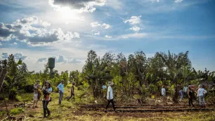 Whole Systems Approach to Ecological Design